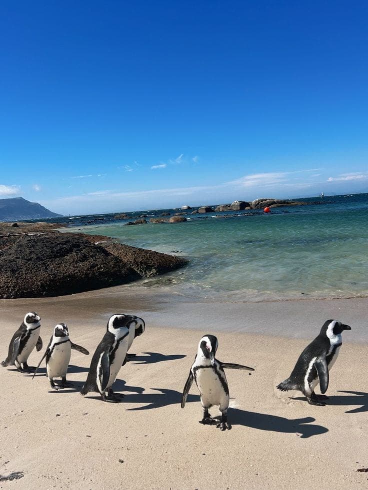 Vista de Ciudad del Cabo, Sudáfrica