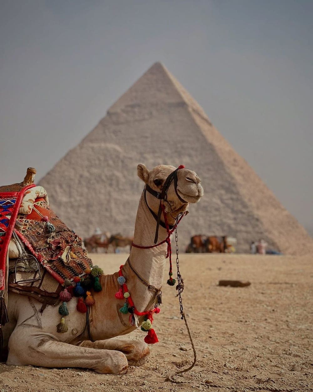 Vista de Egipto